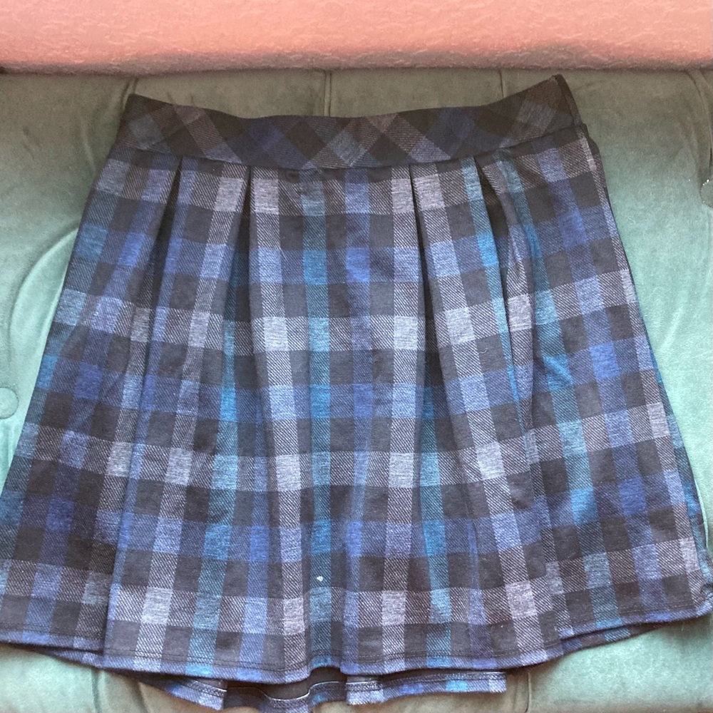 Blue and Black Pleated Skirt